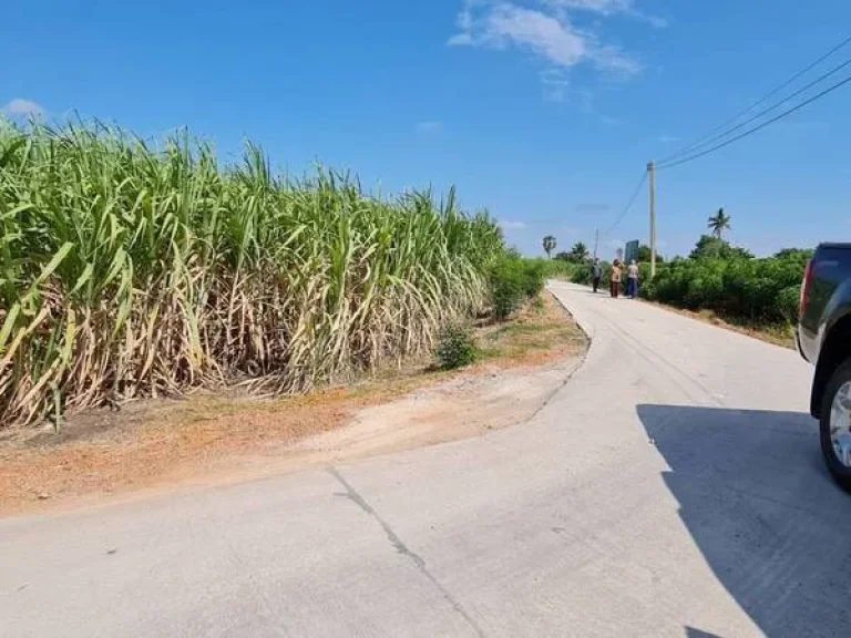 ขายที่ดิน 3 ไร่ เทศบาลแสลงพัน อวังม่วง จวสระบุรี