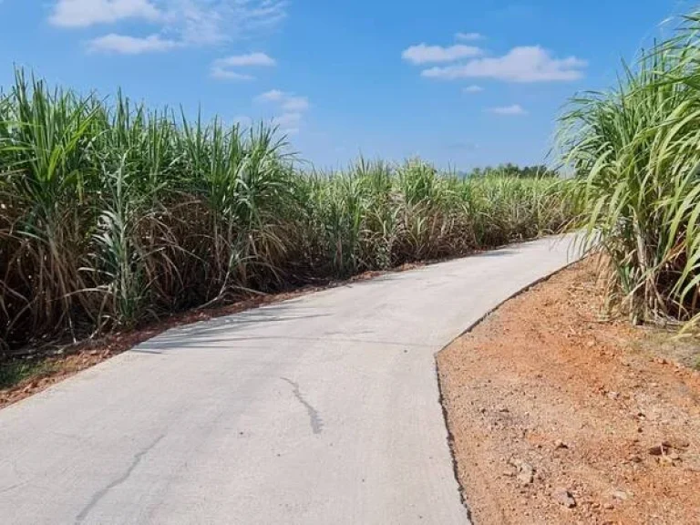 ขายที่ดิน 3 ไร่ เทศบาลแสลงพัน อวังม่วง จวสระบุรี