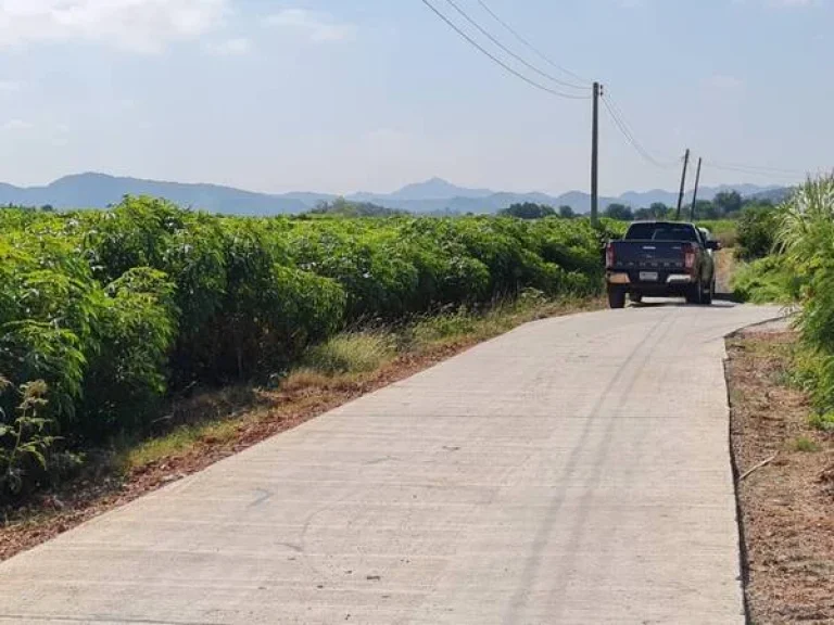 ขายที่ดิน 3 ไร่ เทศบาลแสลงพัน อวังม่วง จวสระบุรี