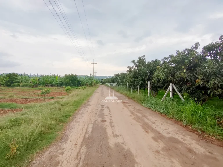 ขายที่ดินพร้อมสวนมะม่วง 5 ไร่ ถนนธนะรัชต์ ฝั่งเขาใหญ่ ใกล้สระน้ำใส ตำบลโป่งตาลอง อำเภอปากช่อง นครราชสีมา ใกล้หลวงปู่ทวดเขาใหญ่ โบนันซ่าเขาใหญ่