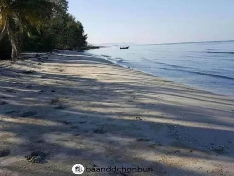 ขายที่ดินติดถนน ติดทะเล บรรยากาศดีเยี่ยม เงียบสงบ จังหวัด ตราด