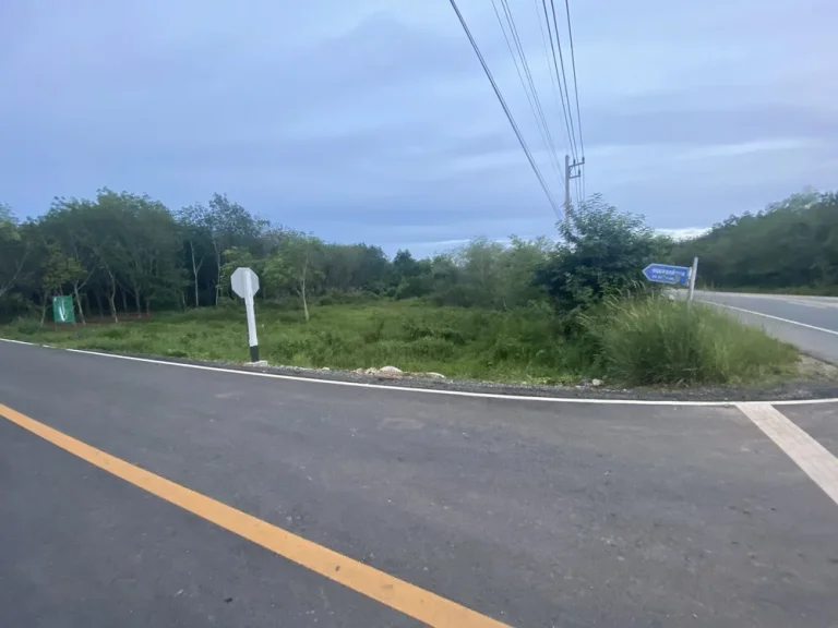 ขายที่ดินหาดใหญ่ ที่ดินท่าข้าม หาดใหญ่ ติดถนนใหญ่แปลงสวย