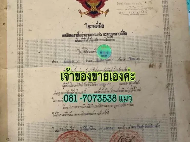 ที่เปล่าใจกลางเมืองพิษณุโลก ถมแล้ว 13218 ไร่ หน้ากว้าง 62 เมตร ลึก 238 เมตร