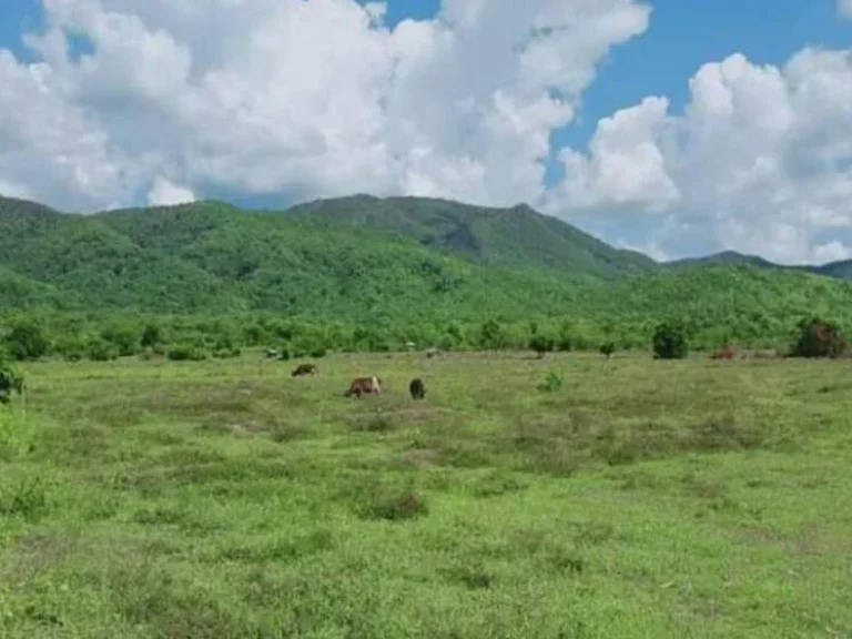 ขายที่ดินวิวภูเขาล้อมรอบแม่ออน ออนกลางโฉนดครุตแดงพร้อมโอน