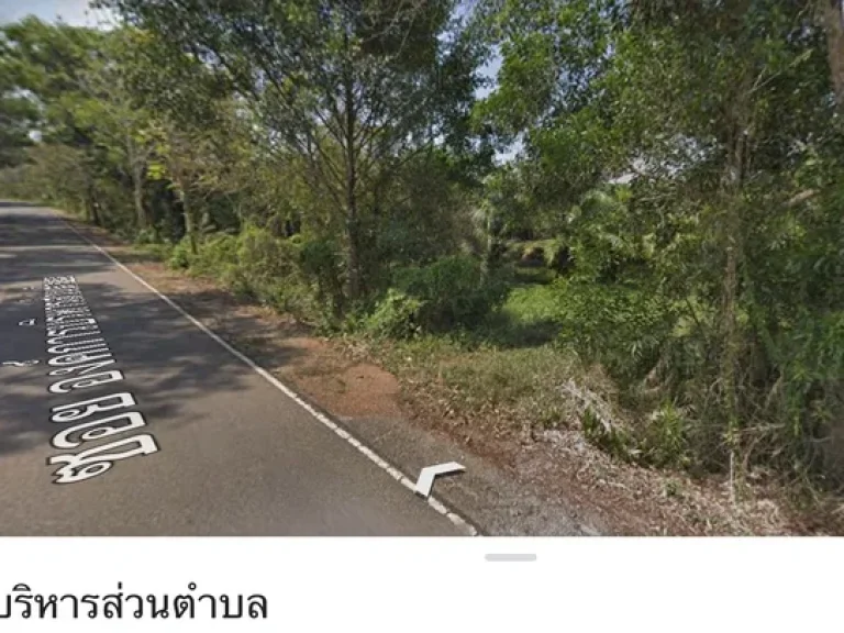 ขายที่ดินสวนปาล์ม 29ไร่ อำเภอแหลมงอบ จังหวัดตราด ใกล้ท่าเรือเฟอรี่เกาะช้าง 19 กม เท่านั้น