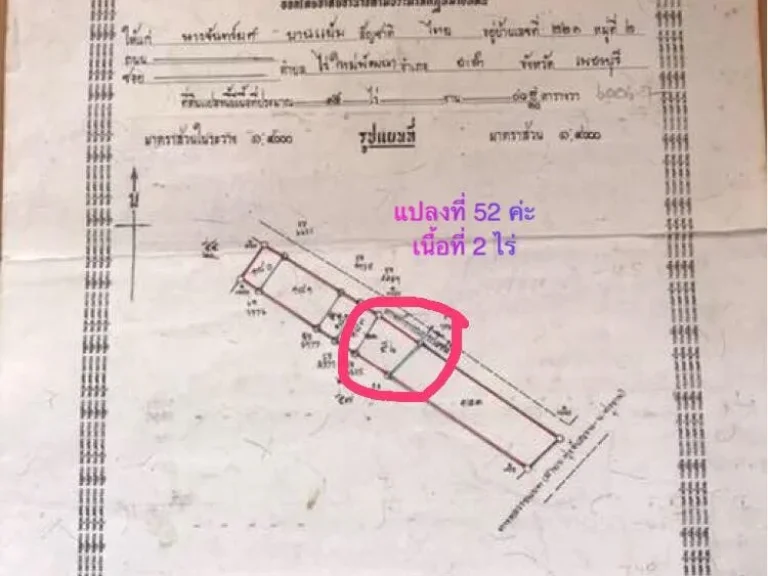 ขายที่ดิน อชะอำ 2 ไร่ ตไร่ใหม่พัฒนา ราคาไร่ละ 65 แสน