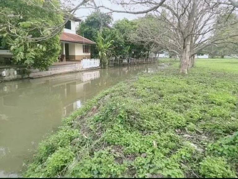 ขายที่ดินติดลำคลองในโครงการแถวดอยสะเก็ตโฉนดพร้อมโอน