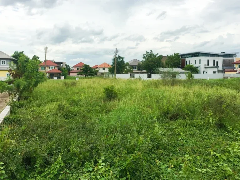 ขายที่ดิน ใกล้แยกบางคูวัด โครงการชวนชื่น ฟลอร่าวิลล์ บางคูวัด ปทุมธานี