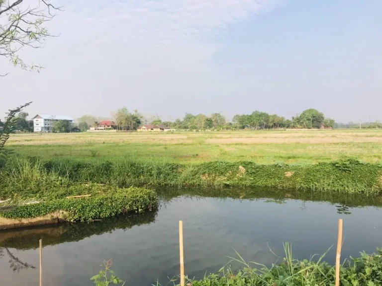 บ้านเมืองลวงใต้ ทั้งสดและผ่อน ผ่อน 3ปี ตเชิงดอย อดอยสะเก็ด จเชียงใหม่