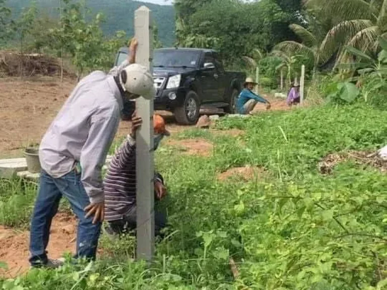 ขายถูกมาก ที่ดินทำเลดี อำเภอวังทอง พิษณุโลก เดินทางสะดวกสบาย ใจกลางแหล่งชุมชน ใกล้โลตัส โรงพยาบาลวังทอง