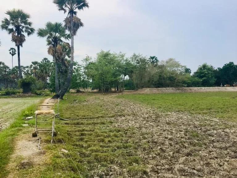 ที่ดินสวยวิวภูเขาทุ่งนาป่าตาล ในชุมชน อุดมสมบูรณ์ 3ไร่2งาน93ตรว หน้ากว้างติดถนน-คลอง ใกล้ไฟฟ้า-ประปา