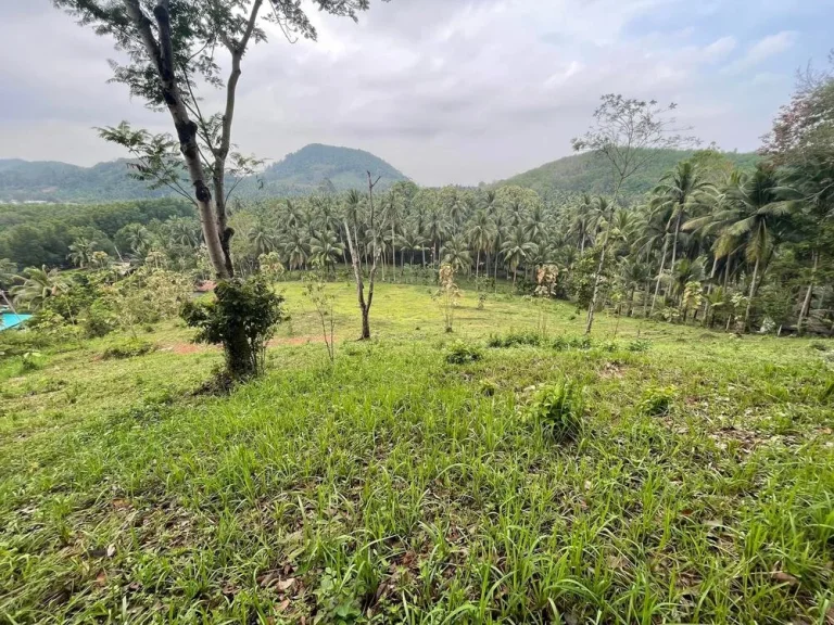 เจ้าของขายเอง ขายถูก ที่ดินติดทะเล วิวสวย รีสอร์ท บ้านพักตากอากาศ จุดชุมวิว