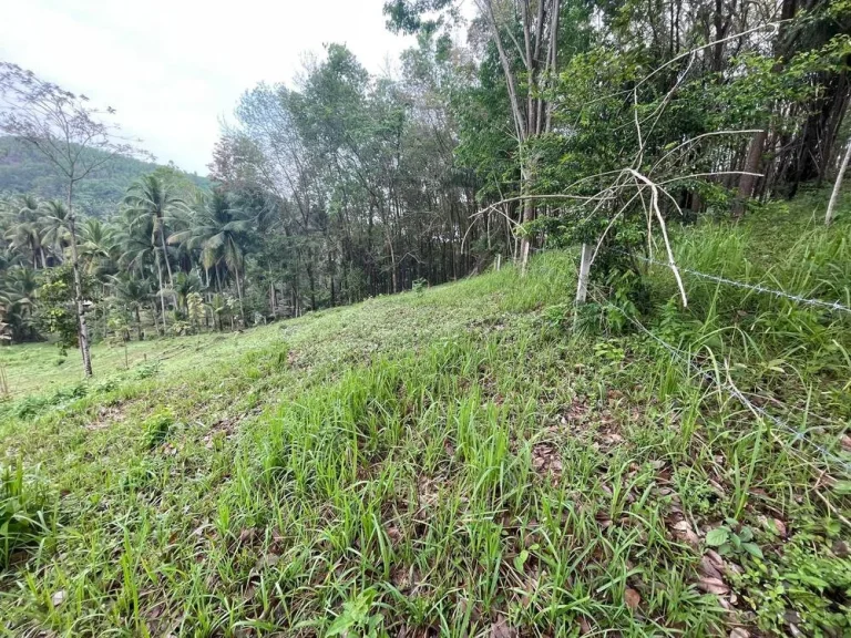 เจ้าของขายเอง ขายถูก ที่ดินติดทะเล วิวสวย รีสอร์ท บ้านพักตากอากาศ จุดชุมวิว