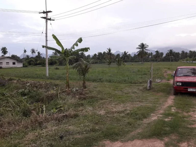 ขายที่ดิน 15 ไร่ ติดถนนเพชรเกษม ตำบลไร่ใหม่ ประจวบคีรีขันธ์