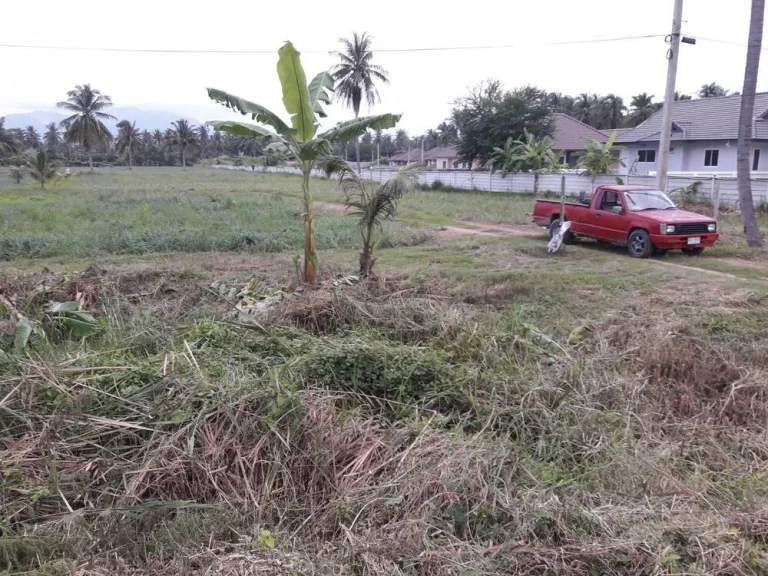 ขายที่ดิน 15 ไร่ ติดถนนเพชรเกษม ตำบลไร่ใหม่ ประจวบคีรีขันธ์