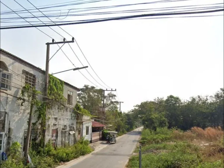 ขายด่วนที่ดิน 99ตรว คลองสาม คลองหลวง เยื้องวัดพระธรรมกาย