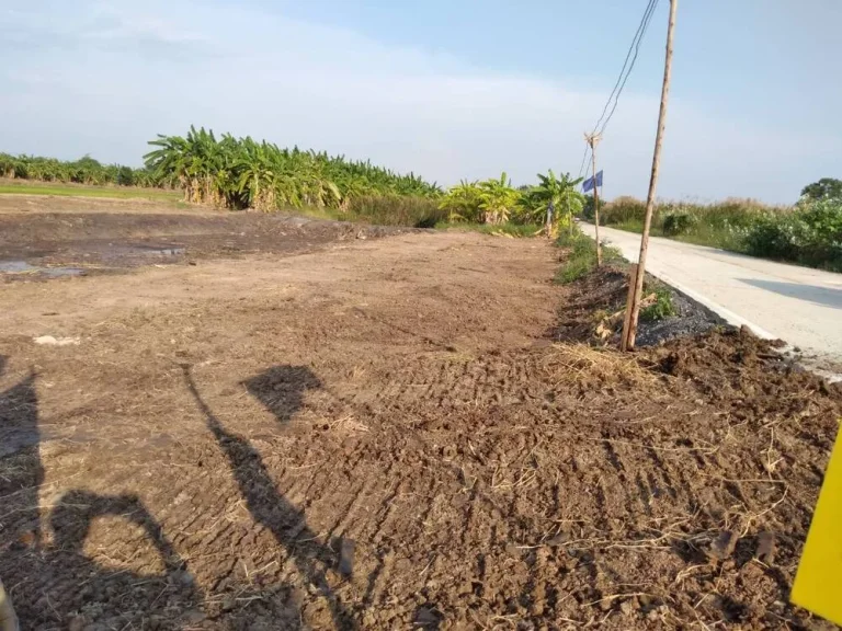 ที่ดินแบ่งขายตกแต่งแนวบ้านสวน ต ทวีวัฒนา อ ไทรน้อย จ นนทบุรี