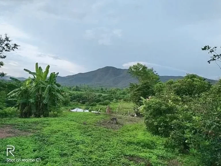 ขายบ้านสวนบ้านภูดินแม่แตงพร้อมสวนผสมวิวดอยโฉนดพร้อมโอน