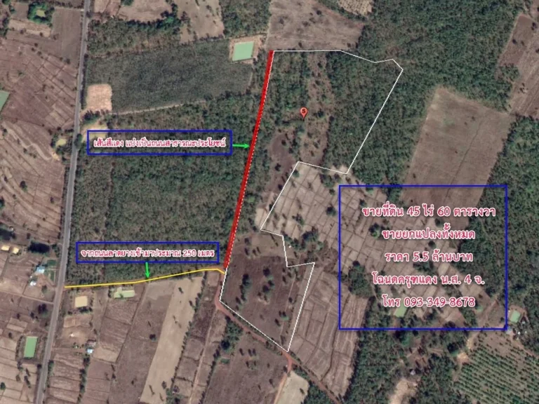 ขายที่ดินแปลงใหญ่ 45 ไร่ ราคาถูก เหมาะทำโคก หนอง นา