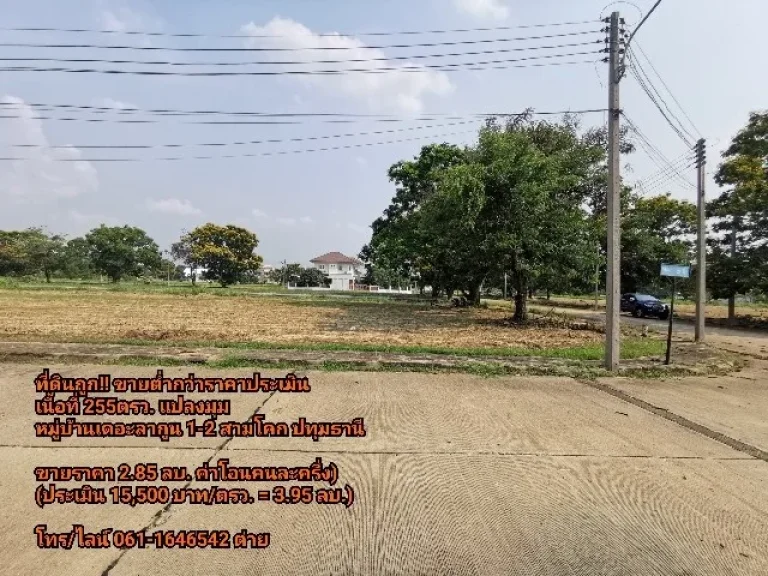 ขายที่ดิน ต่ำกว่าราคาประเมิน 255 ตรว สามโคก ปทุมธานี หมู่บ้านเดอะลากูน 1-2