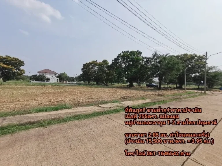 ขายที่ดิน ต่ำกว่าราคาประเมิน 255 ตรว สามโคก ปทุมธานี หมู่บ้านเดอะลากูน 1-2