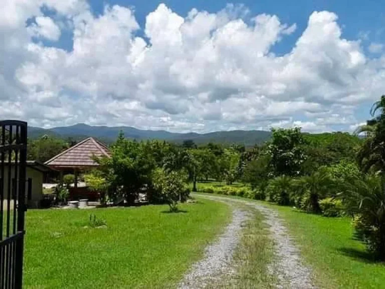 ขายบ้านพร้อมที่ดิน เป็นบ้านกึ่งสไตล์รีสอร์ทท่ามกลางธรรมชาติที่สมบูรณ์แบบน่าอยู่อาศัยล้อมรอบด้วยไปด้วยภูเขาและต้นไม้ สบเปิง แม่แตง