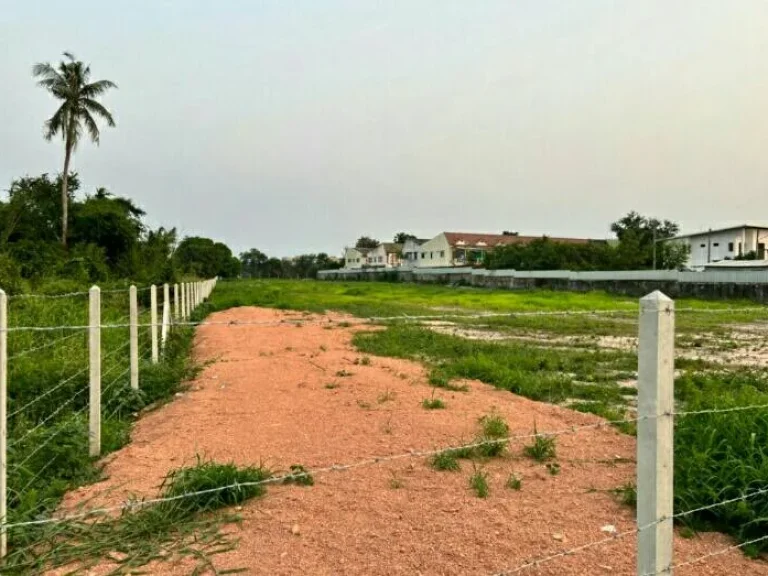 ขายด่วน ที่ดินใกล้หาดพลา บ้านฉาง ระยอง รูปแปลงสวย หน้ากว้างติดถนนคอนกรีต