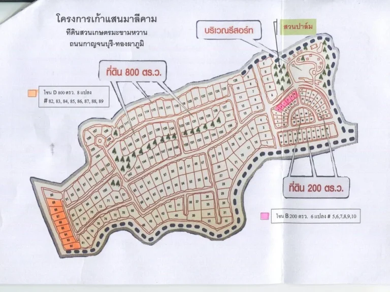 ขายที่ดินสวนมะขามหวานมะขามเปรี้ยวยักษ์ โครงการเก้าแสนมาลีคาม กาญจนบุรี