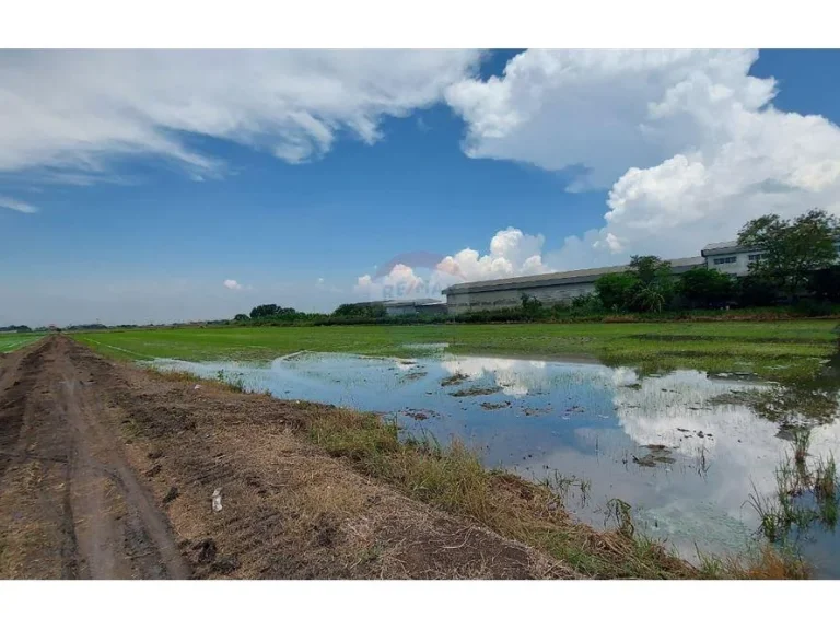 ขายที่ดิน 39 ไร่ ติดถนนใหญ่คลอง6 บึงคำพร้อย เหมาะลงทุน ทำเลดี