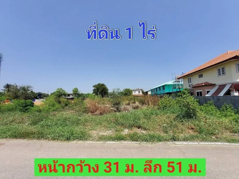 ขายด่วน ที่ดินขนาด 1 ไร่ ติดถนนคอนกรีตสาธารณะ ซไอยรา 7 ตคลองสอง อคลองหลวง จปทุมธานี