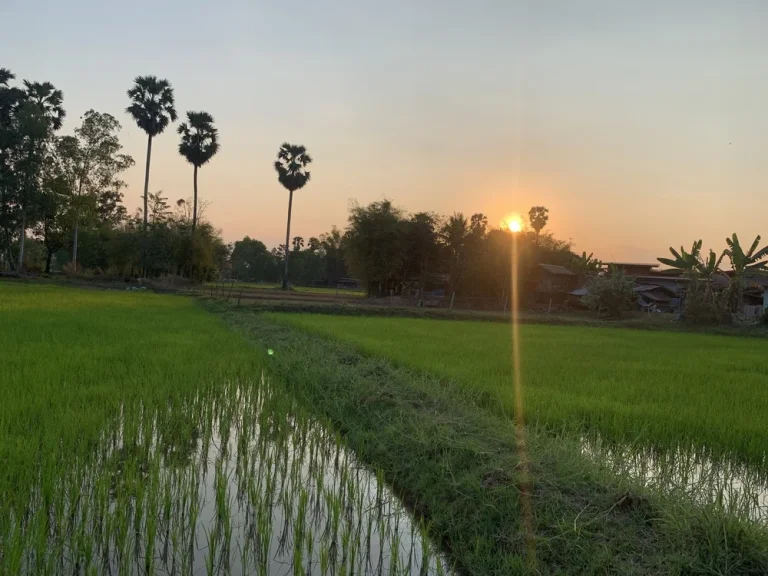 ขายที่ดินทำเลสวย ติดคลองส่งน้ำ อยู่ในหมู่บ้านใกล้กับถนนตัดใหม่