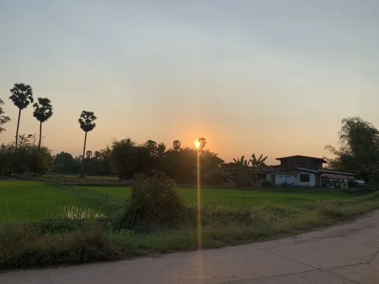 ขายที่ดินทำเลสวย ติดคลองส่งน้ำ อยู่ในหมู่บ้านใกล้กับถนนตัดใหม่