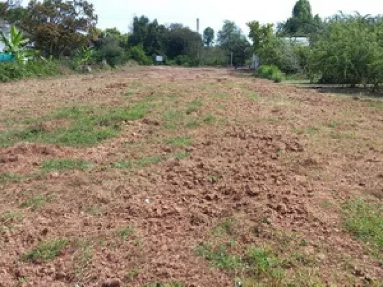 ขายที่ดินเปล่า 1 ไร่ บ้านพรม ตบ้านเป้า อเกษตรสมบูรณ์ จชัยภูมิ