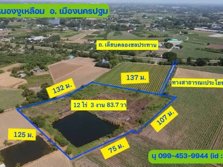 ขาย ที่ดิน ตหนองงูเหลือม อเมืองนครปฐม 12 ไร่ 3 งาน 837 ตรวา ไฟฟ้าน้ำ ถึงแปลง ใกล้คลองชลประทาน