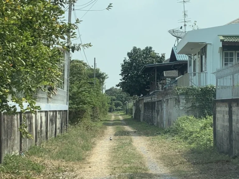 ขายที่ดินเปล่า ทำเลดี เดินทางสะดวก เหมาะสร้างบ้าน ถนนพุทธมณฑลสาย 1 ตลิ่งชัน กรุงเทพ