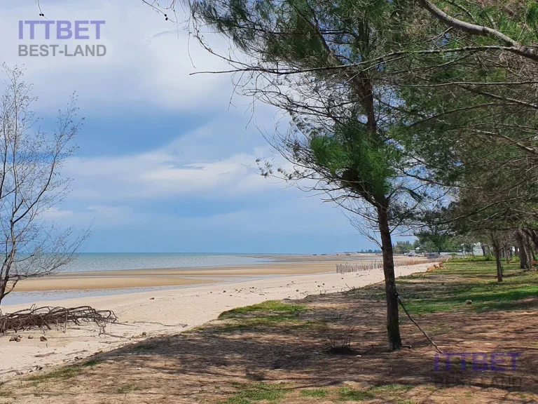 ที่ดินหาดปึกเตียน เพชรบุรี ชะอำ ชายหาดส่วนตัว ที่ถมแล้ว เนื้อที่ 55-3-72 ไร่ 22372 ตารางวา