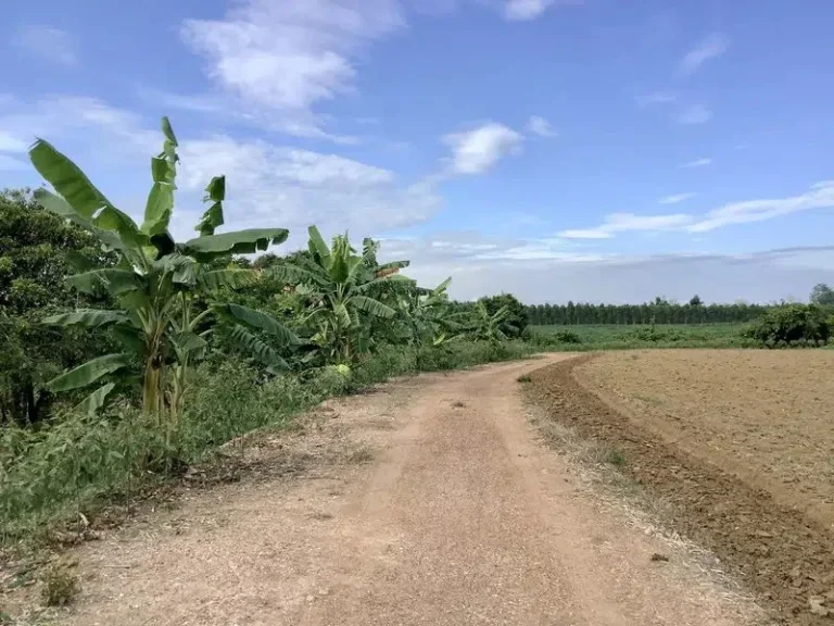 ขายที่สวนติดคลอง น้ำไม่ท่วม วิวสวยอากาศดี ศาลาลำดวน อำเภอเมืองจังหวัดสระแก้ว