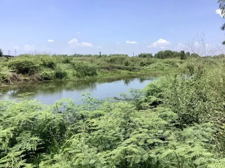 ขายที่ติดคลอง ใกล้ 4 เลนตัดใหม่บางเดชะ ที่สวย เหมาะสำหรับที่พักอาศัย อเมืองปราจีนบุรี