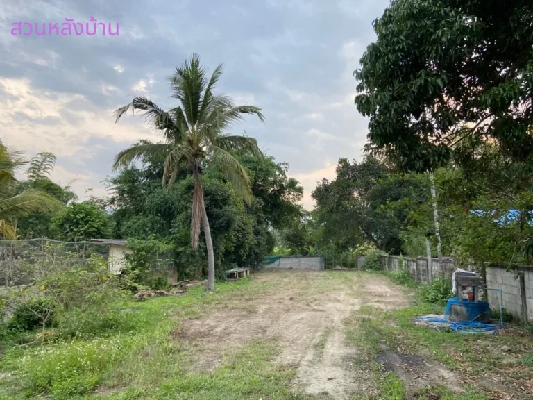 ขายด่วน หัวมุมสามแยกใจกลางหมู่บ่าน ใกล้ราชภัฎและเป็นทางผ่านขึ้นพระพุธทบาท4รอย มีไฟฟ้า มีประปา เป็นตลาดสดประจำหมู่บ้าน แถมบ้าน2ชั้น1หลังติดแม่น้ำ