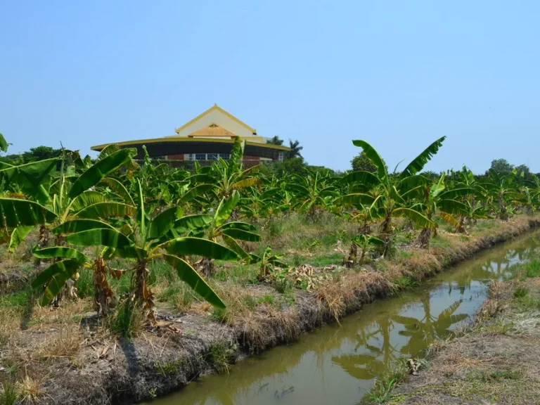 ขายที่ดินสวนลำไย 30 ไร่ บรรยากาศดี สุพรรณบุรี ติด รรกาญจนา