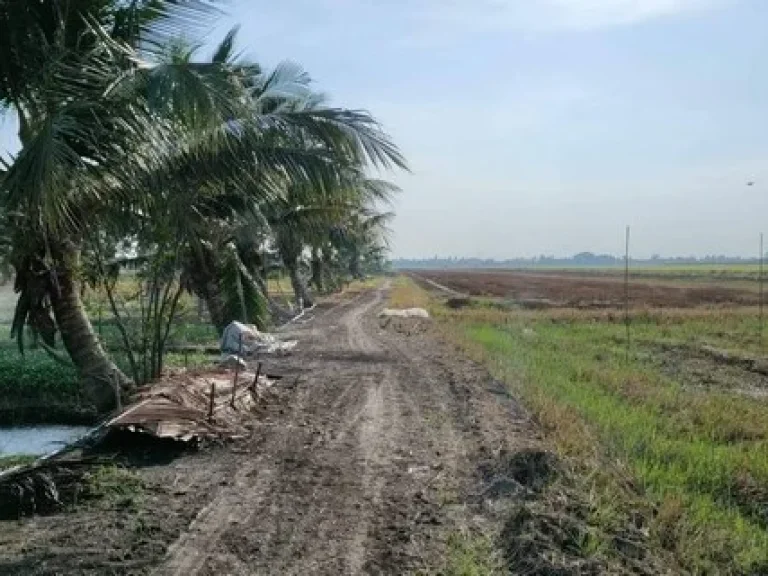 ขายที่ดิน ตำบล ราษฎรนิยม อำเภอ ไทรน้อย จังหวัด นนทบุรี