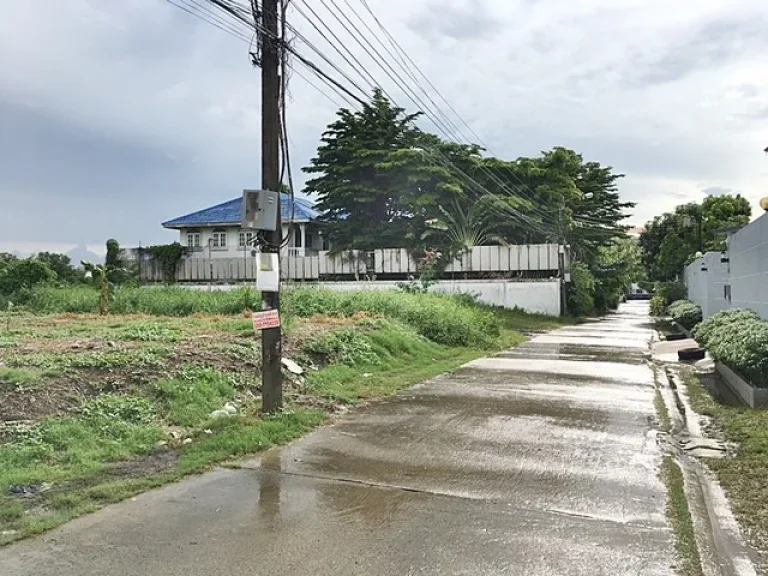 ขายที่ดิน ซอยสุคนธสวัสดิ์ 20 ลาดพร้าว 71 เหมาะปลูกบ้านอยู่อาศัย หรือสร้างออฟฟิต ใกล้รถไฟฟ้า BTS