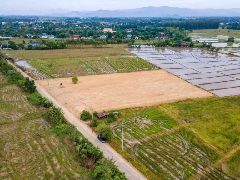 ลดราคาขายด่วน 99 ลเท่านั้น ที่ดินราคาถูก ทำเลสวยใกล้เมืองเชียงใหม่ ติดพื้นที่สีเหลือง