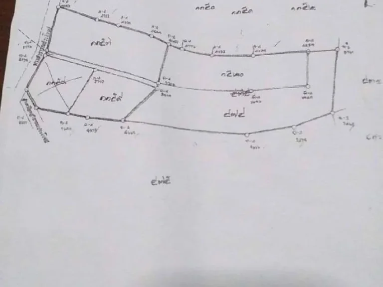 ขายยกแปลงเพียงตรวละ 10000 บ เท่านั้น สนใจจริงต่อรองได้ค่ะ