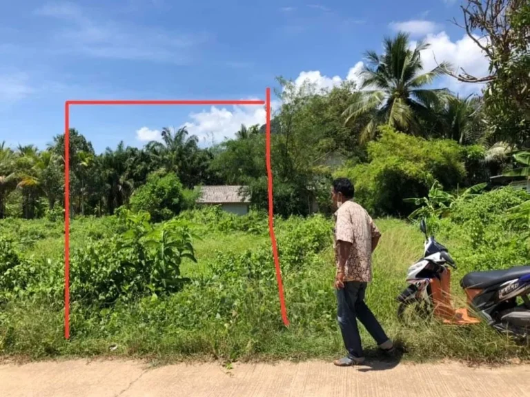 ที่ดินบนเกาะลันตา ใกล้แหล่งชุมชน เหมาะสำหรับทำบ้านพักอาศัย