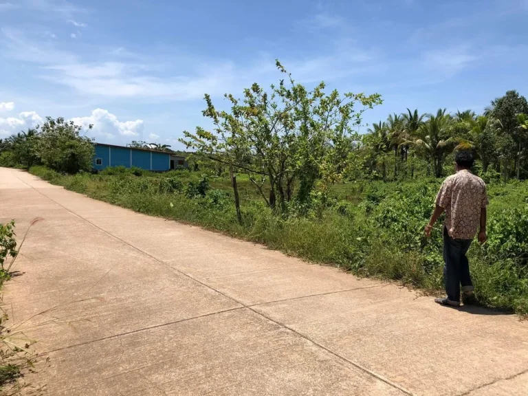 ที่ดินบนเกาะลันตา ใกล้แหล่งชุมชน เหมาะสำหรับทำบ้านพักอาศัย