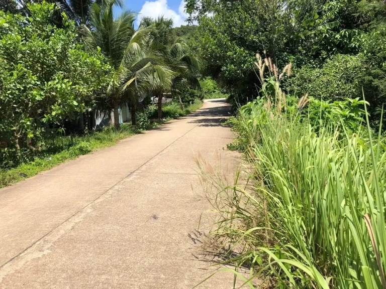 ที่ดินบนเกาะลันตา ใกล้แหล่งชุมชน เหมาะสำหรับทำบ้านพักอาศัย