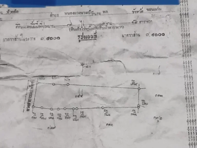 ขายที่ดิน 19 ไร่ 1 งาน 15 ตารางวา เลขที่โฉนด 45623