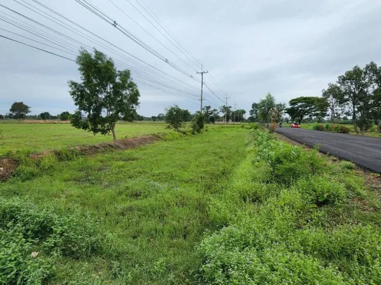 ขายที่ดินติดถนนดำ เหมาะทำธุรกิจ หน้ากว้างติดถนน 160 เมตร