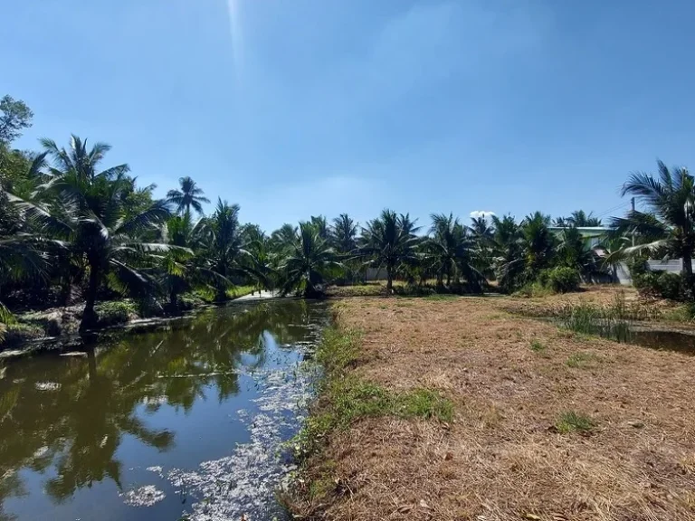 ขาย ที่ดิน 2 ไร่ 449 ตรว พร้อมบ้านพักตากอากาศ ดอนมะโนรา บางคนที สมุทรสงคราม